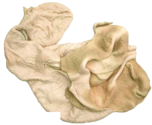 Tripes de boeuf vertes